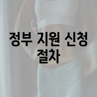 정부 지원 신청 절차