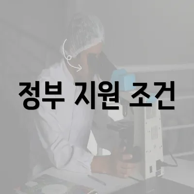 정부 지원 조건