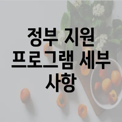 정부 지원 프로그램 세부 사항