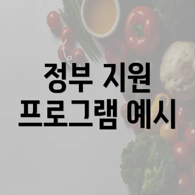 정부 지원 프로그램 예시