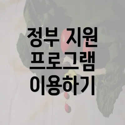 정부 지원 프로그램 이용하기