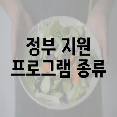 정부 지원 프로그램 종류