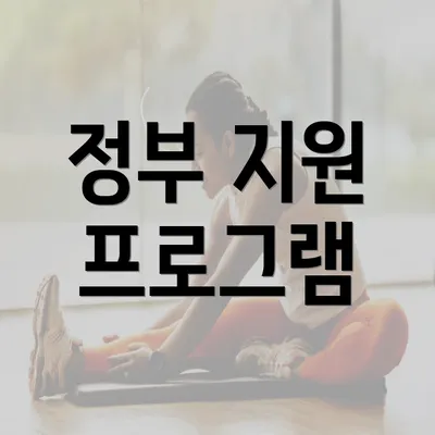 정부 지원 프로그램