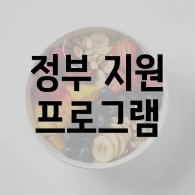 정부 지원 프로그램