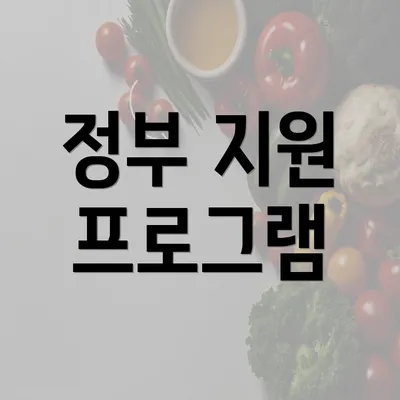 정부 지원 프로그램