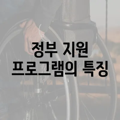 정부 지원 프로그램의 특징