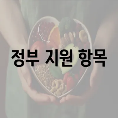 정부 지원 항목