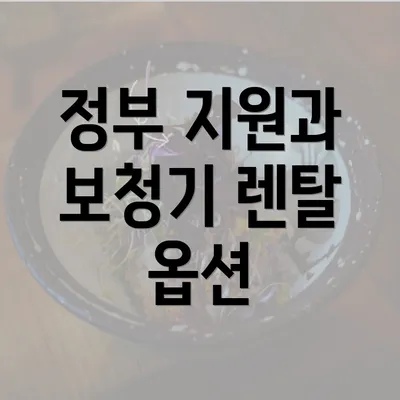 정부 지원과 보청기 렌탈 옵션