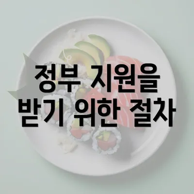 정부 지원을 받기 위한 절차