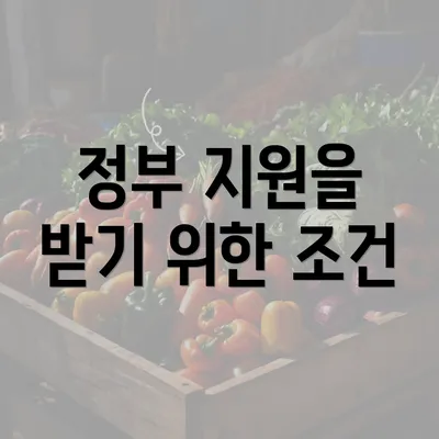 정부 지원을 받기 위한 조건