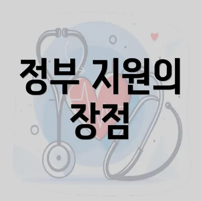 정부 지원의 장점