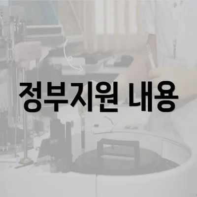 정부지원 내용