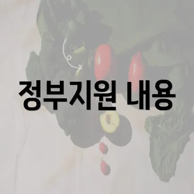 정부지원 내용