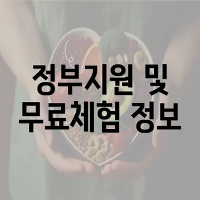 정부지원 및 무료체험 정보