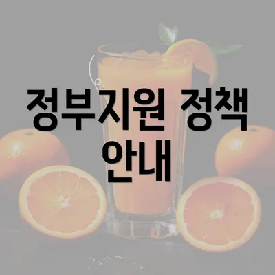 정부지원 정책 안내