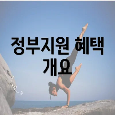 정부지원 혜택 개요