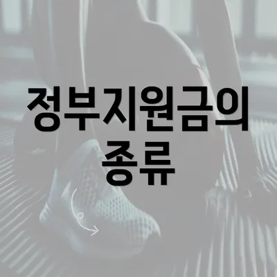 정부지원금의 종류