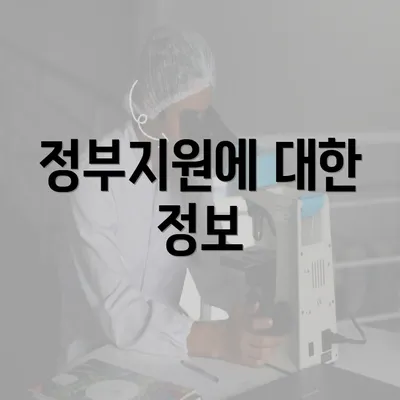 정부지원에 대한 정보