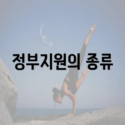 정부지원의 종류