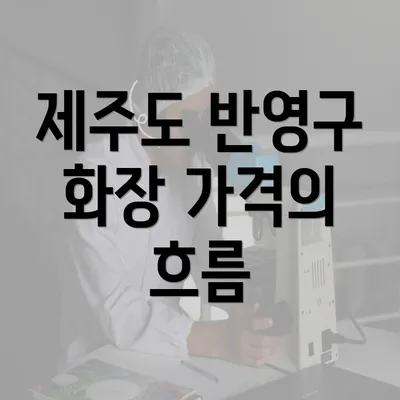 제주도 반영구 화장 가격의 흐름