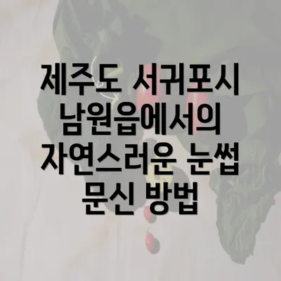 제주도 서귀포시 남원읍에서의 자연스러운 눈썹 문신 방법