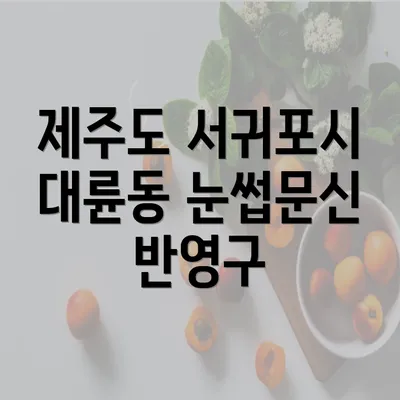 제주도 서귀포시 대륜동 눈썹문신 반영구