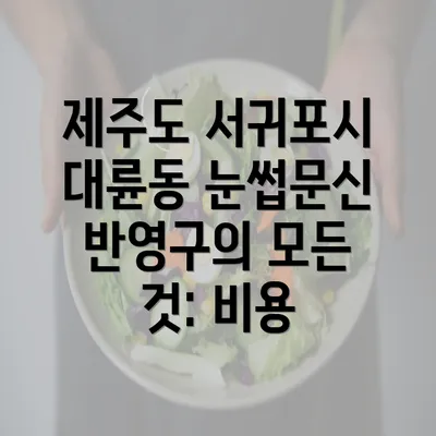 제주도 서귀포시 대륜동 눈썹문신 반영구의 모든 것: 비용