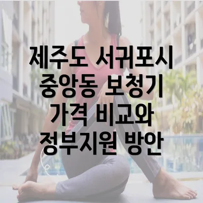 제주도 서귀포시 중앙동 보청기 가격 비교와 정부지원 방안