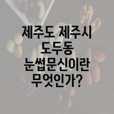 제주도 제주시 도두동 눈썹문신이란 무엇인가?