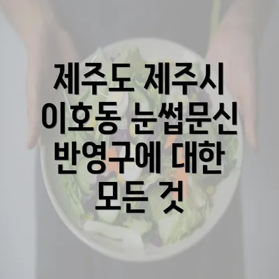 제주도 제주시 이호동 눈썹문신 반영구에 대한 모든 것