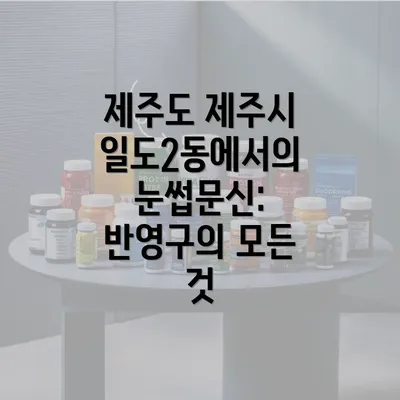 제주도 제주시 일도2동에서의 눈썹문신: 반영구의 모든 것