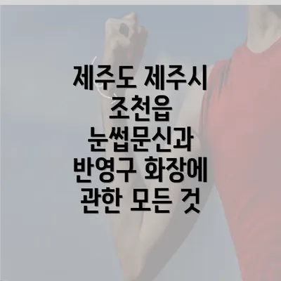 제주도 제주시 조천읍 눈썹문신과 반영구 화장에 관한 모든 것