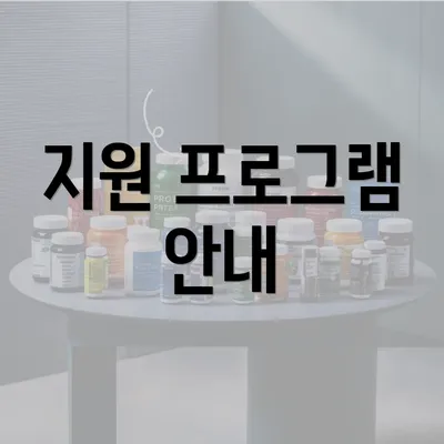 지원 프로그램 안내