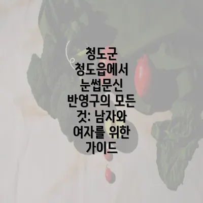 청도군 청도읍에서 눈썹문신 반영구의 모든 것: 남자와 여자를 위한 가이드