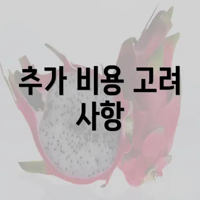 추가 비용 고려 사항