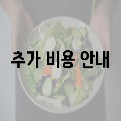 추가 비용 안내