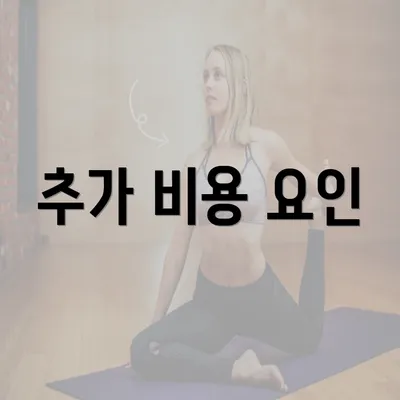 추가 비용 요인