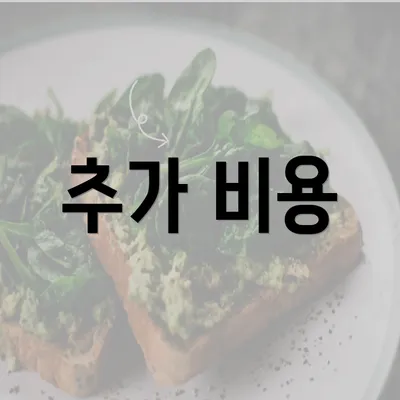 추가 비용