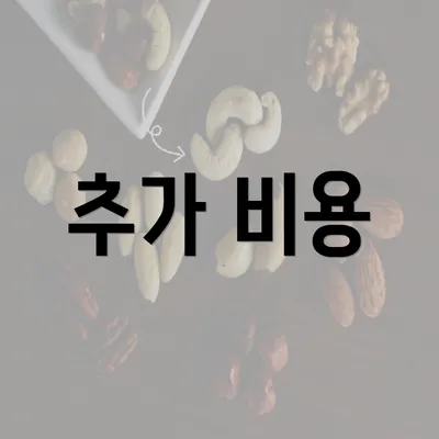 추가 비용