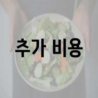 추가 비용