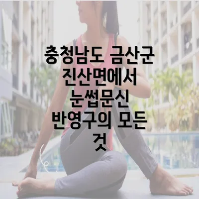 충청남도 금산군 진산면에서 눈썹문신 반영구의 모든 것