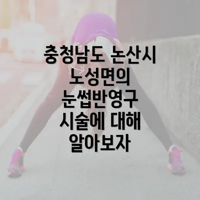 충청남도 논산시 노성면의 눈썹반영구 시술에 대해 알아보자