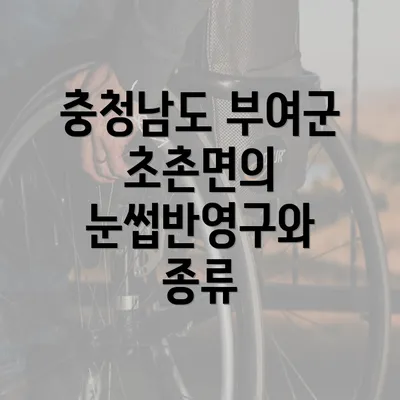 충청남도 부여군 초촌면의 눈썹반영구와 종류