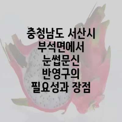 충청남도 서산시 부석면에서 눈썹문신 반영구의 필요성과 장점