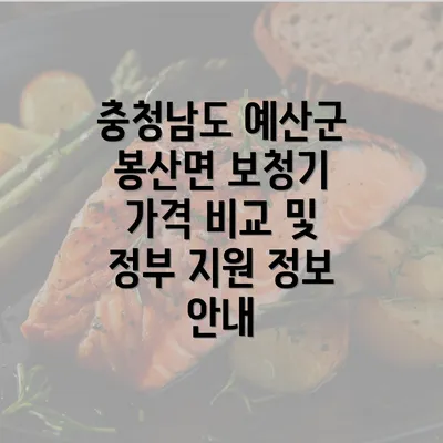 충청남도 예산군 봉산면 보청기 가격 비교 및 정부 지원 정보 안내