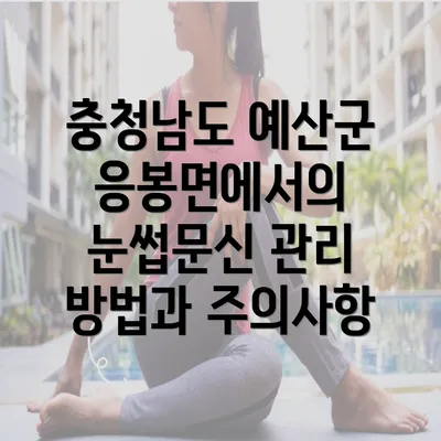 충청남도 예산군 응봉면에서의 눈썹문신 관리 방법과 주의사항