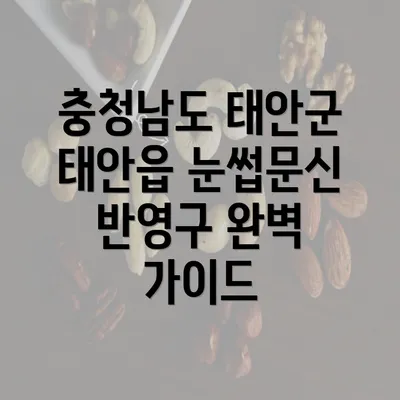 충청남도 태안군 태안읍 눈썹문신 반영구 완벽 가이드