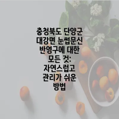 충청북도 단양군 대강면 눈썹문신 반영구에 대한 모든 것: 자연스럽고 관리가 쉬운 방법