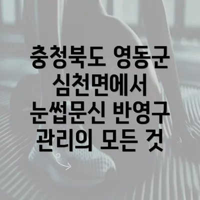 충청북도 영동군 심천면에서 눈썹문신 반영구 관리의 모든 것