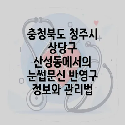 충청북도 청주시 상당구 산성동에서의 눈썹문신 반영구 정보와 관리법